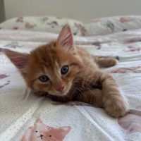 Photo of Lucifer