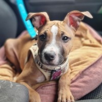 Photo of Denver
