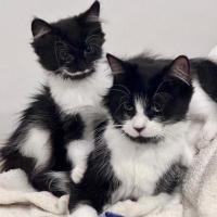 Photo of Nichaud & Paris