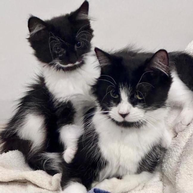 Photo of Nichaud & Paris