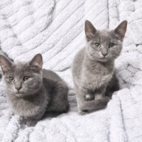 Photo of Islay And Arran 🌷