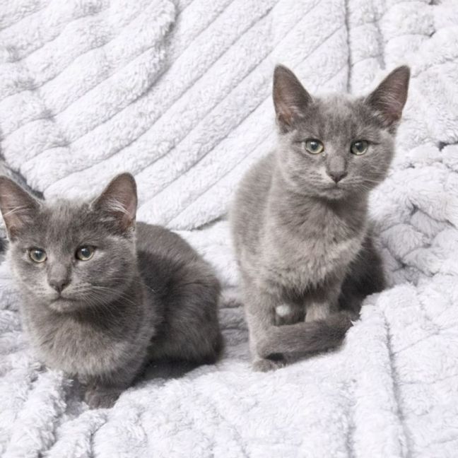 Photo of Islay And Arran 🌷