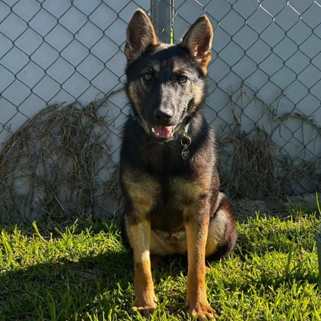 Photo of Khyla