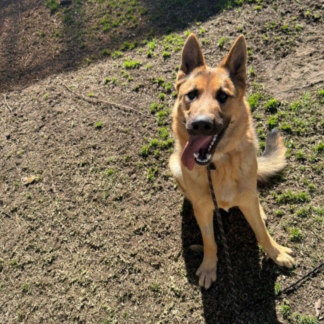 Photo of Odin