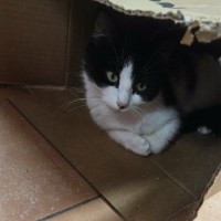 Photo of 🤍  Hannah Banana ❤︎