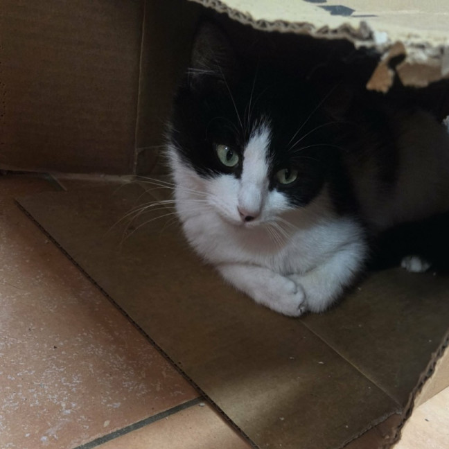 Photo of 🤍  Hannah Banana ❤︎