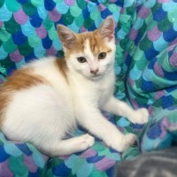 Photo of Barbara   Meet Me @ Petstock Prahran!