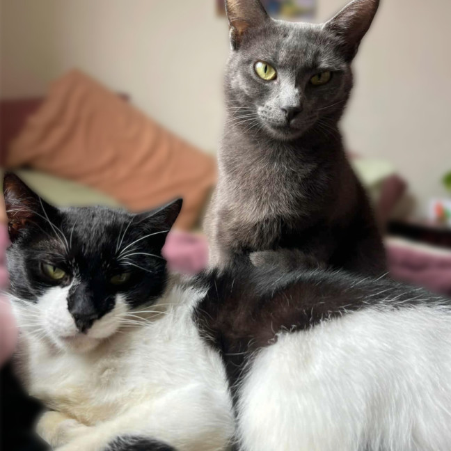 Photo of Aero + Kit Kat 