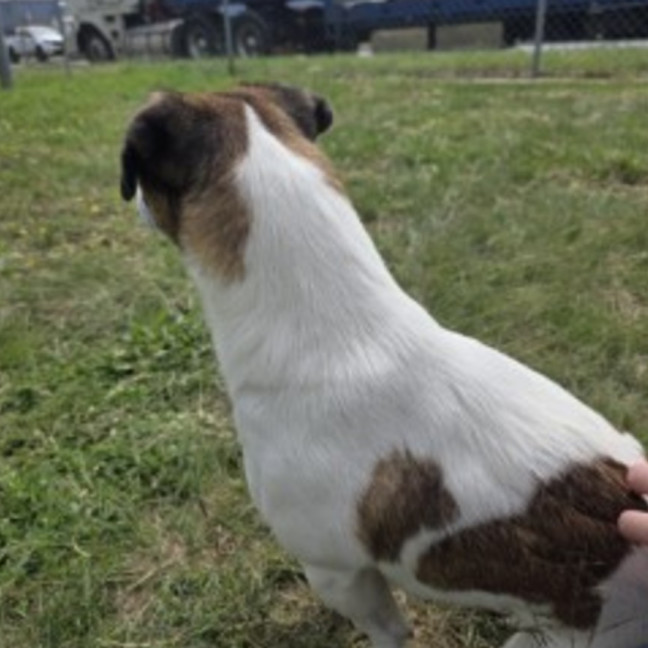 Photo of Skittles