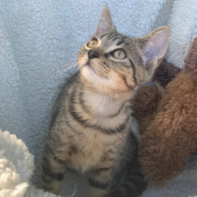 Photo of Isla💕💕💕