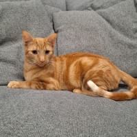 Photo of Winnie