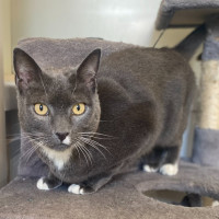 Photo of Herbie 