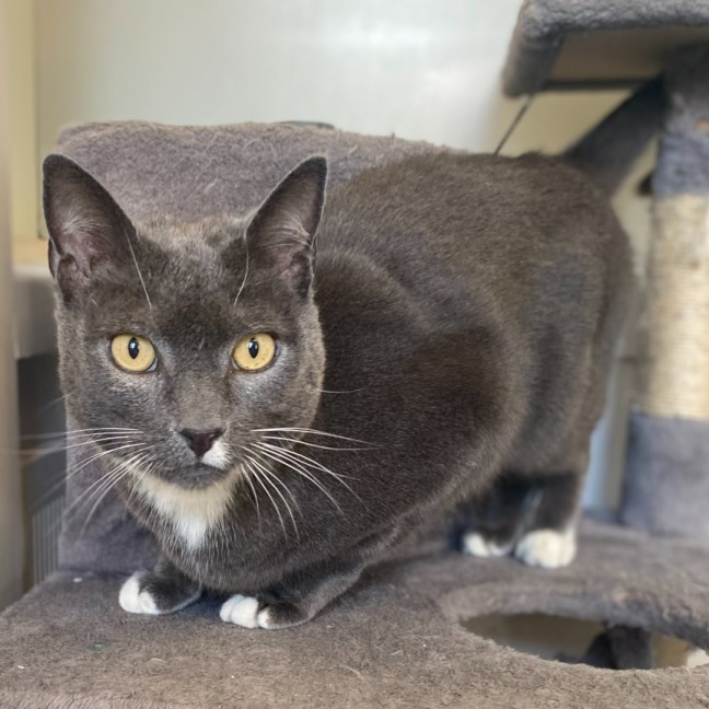 Photo of Herbie 