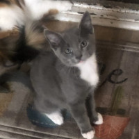 Photo of Lochy