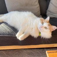 Photo of Wiggles 🐛