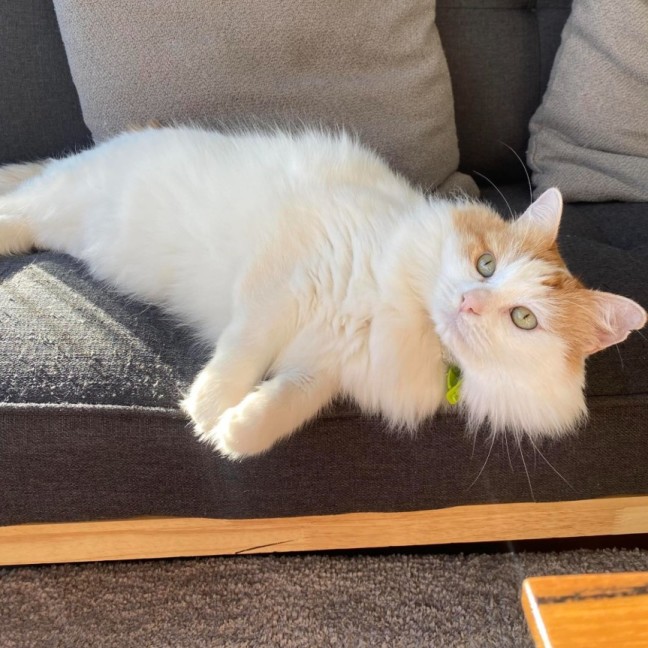 Photo of Wiggles 🐛