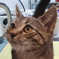 Photo of Tabitha