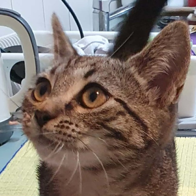 Photo of Tabitha