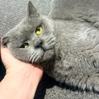 Photo of Crystal