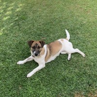 Photo of Yogi