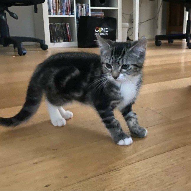 Photo of 🌙 Apollo 🌙