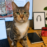 Photo of Mimi