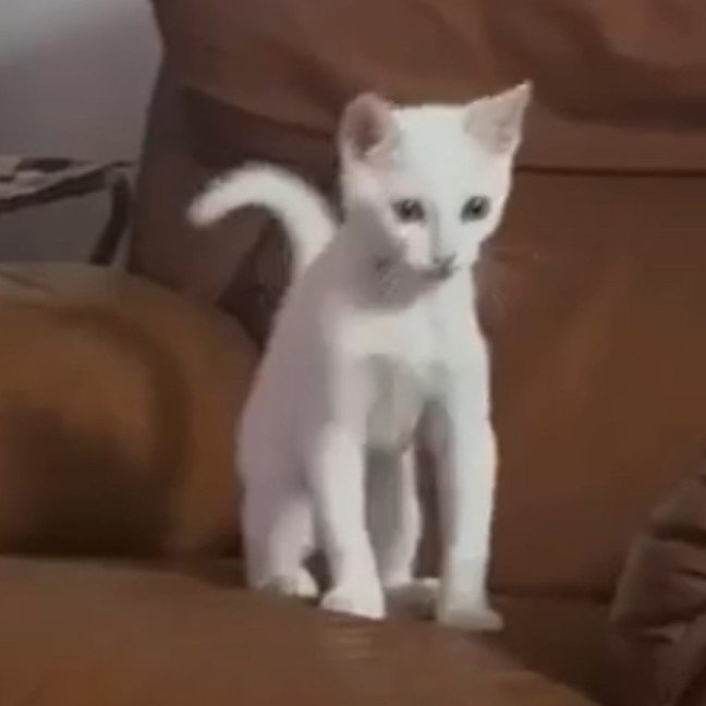 Photo of Rachel