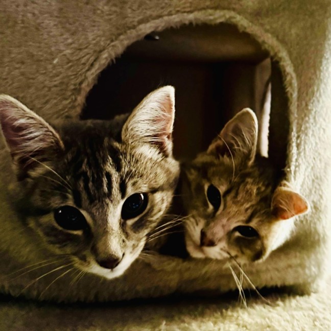 Photo of Eddie & Dot