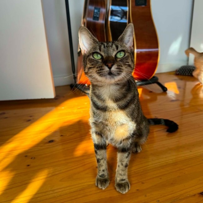 Photo of Elke