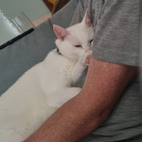 Photo of Louis And Hermione