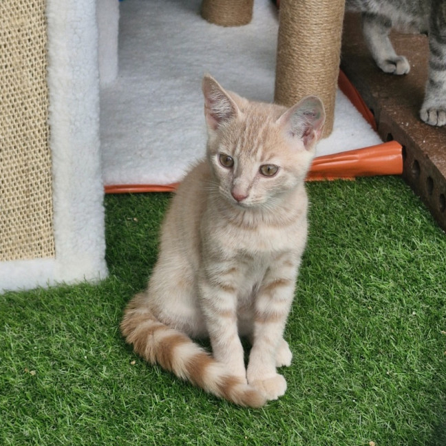 Photo of Winston (Jnr)