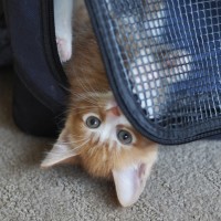 Photo of Kenny 