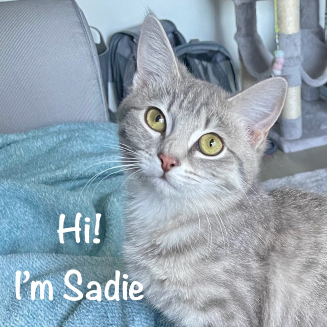 Photo of Sadie