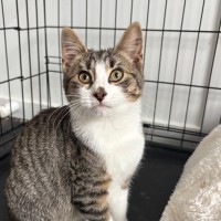 Photo of Winston