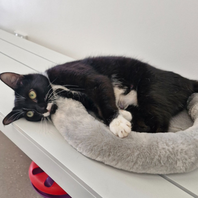 Photo of C1358 Haven