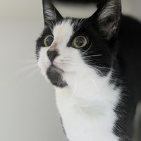 Photo of 🌱 Camila 6171 🌱