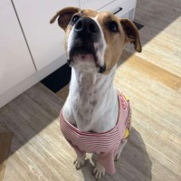 Photo of Thor