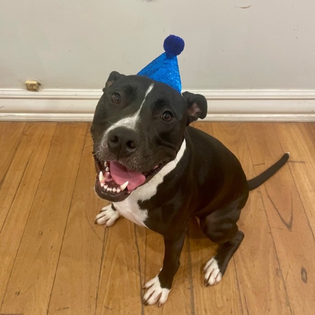 Photo of Flint