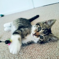 Photo of Beans   Located In Eltham