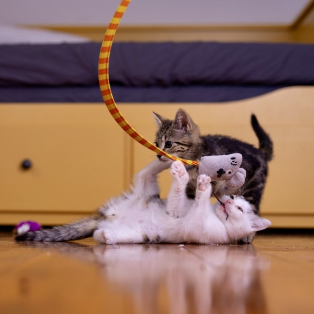 Photo of Principal Skinner