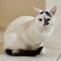Photo of Daisy
