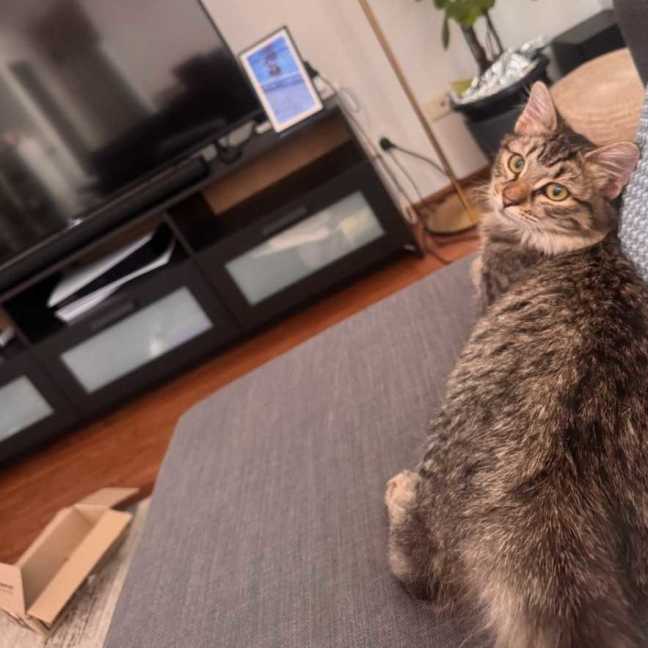Photo of Atlas And Lily
