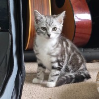 Photo of Ivy