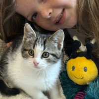 Photo of Max 🐯😻