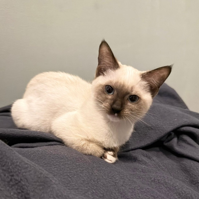 Photo of Queen Carmen And Dylan Penrose 