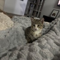 Photo of Clara