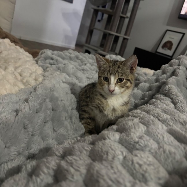 Photo of Clara