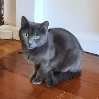 Photo of Felicia 🌹