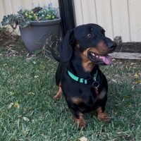 Photo of Eddy