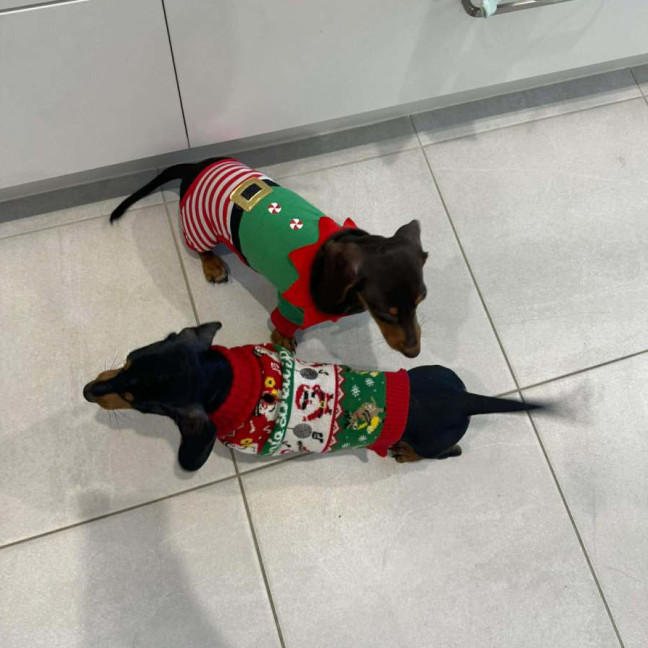 Photo of Crumb And Toby